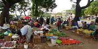 Markt Kenia